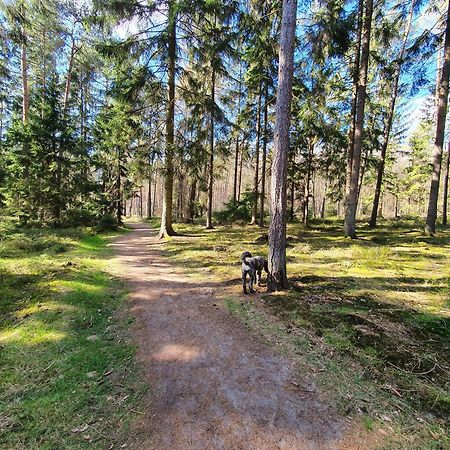 Ferienwohnung Schuberski Lipperreihe Buitenkant foto