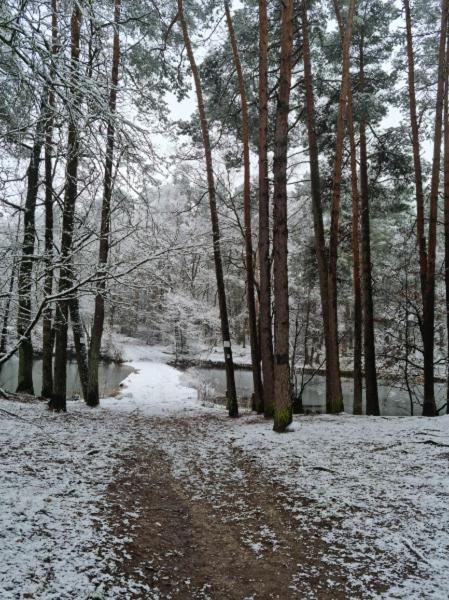Ferienwohnung Schuberski Lipperreihe Buitenkant foto